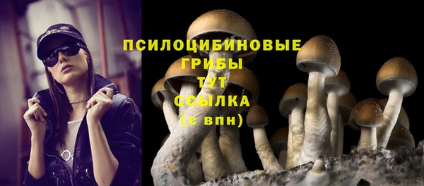 круглые Алексин