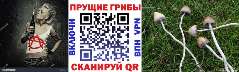 Галлюциногенные грибы мицелий  KRAKEN зеркало  Заволжск 